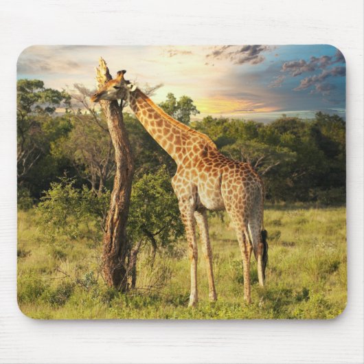 Giraffe Muismat (Voorkant)