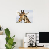 Giraffe, Nationaal Park Kruger, Zuid-Afrika Poster (Thuiskantoor)