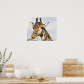 Giraffe, Nationaal Park Kruger, Zuid-Afrika Poster (Keuken)