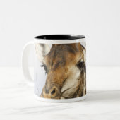 Giraffe, Nationaal Park Kruger, Zuid-Afrika Tweekleurige Koffiemok (Voorkant links)