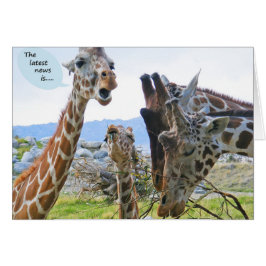 Giraffe News Card