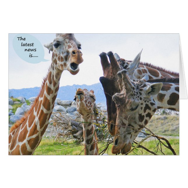 Giraffe News Card (Voorkant Horizontaal)
