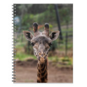 Giraffe notebook notitieboek (Voorkant)