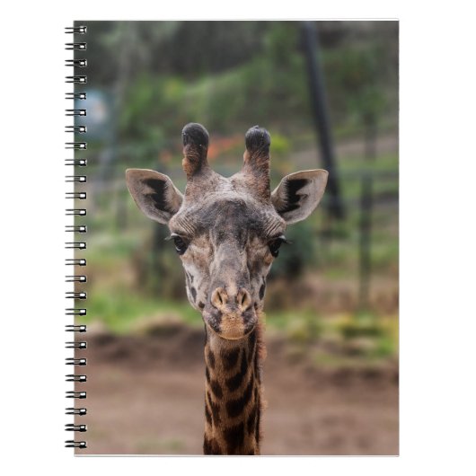 Giraffe notebook notitieboek (Voorkant)