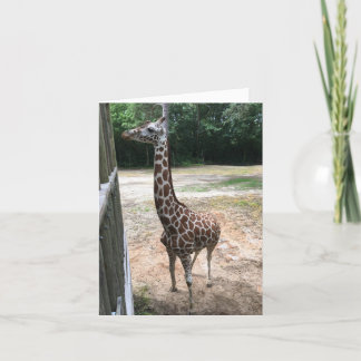 Giraffe Notecard (Wat is er?) Kaart