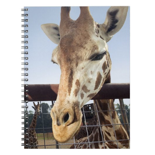 Giraffe Notitieboek (Voorkant)