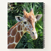 Giraffe Notitieboek - 8,5 x 11, 8,5 x 8,5 of hart (Achterkant)