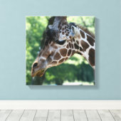 Giraffe omgepakt Canvas Afdruk (Insitu (Houten vloer))