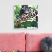 Giraffe omgepakt Canvas Afdruk (Insitu (Woonkamer))