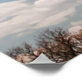 Giraffe omhoog Sluiten Poster (Hoek)