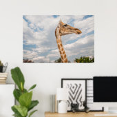 Giraffe omhoog Sluiten Poster (Thuiskantoor)