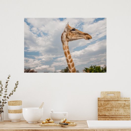 Giraffe omhoog Sluiten Poster (Keuken)