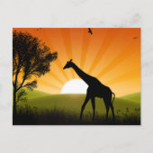 Giraffe onderweg briefkaart (Voorkant)