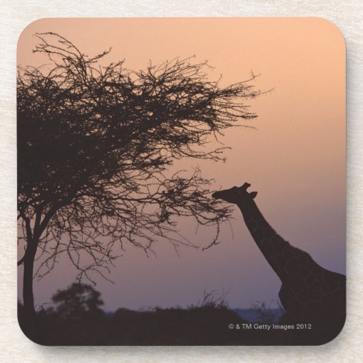 Giraffe Onderzetter (Voorkant)