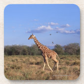 Giraffe Onderzetter (Voorkant)