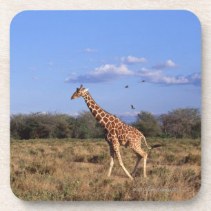 Giraffe Onderzetter