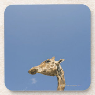 Giraffe Onderzetter