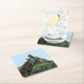 Giraffe Onderzetter instellen (Insitu)