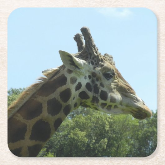 Giraffe Onderzetter instellen (Voorkant)