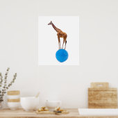 Giraffe op de bal poster (Keuken)