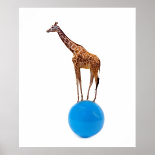 Giraffe op de bal poster
