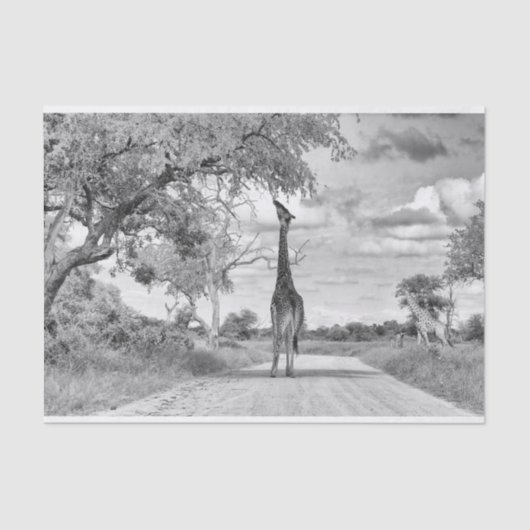 Giraffe op de weg tissuepapier (Voorkant)