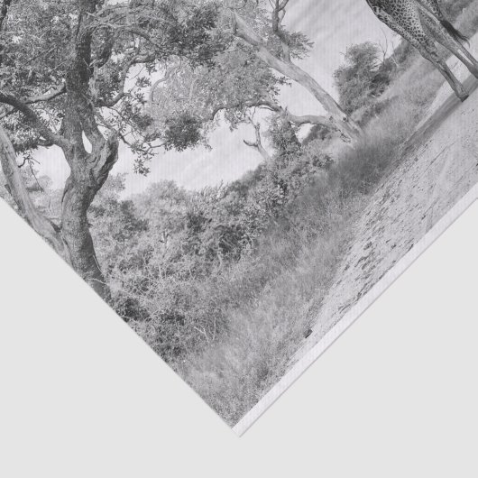 Giraffe op de weg tissuepapier (Detail)