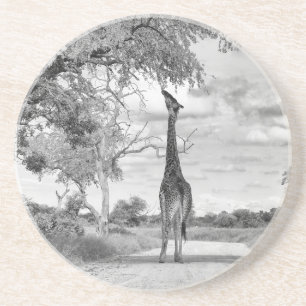 Giraffe op weg zandsteen onderzetter