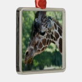 Giraffe Ornament (Rechts)