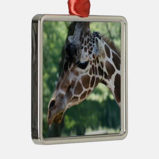 Giraffe Ornament (Rechts)