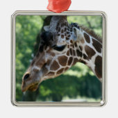 Giraffe Ornament (Voorkant)