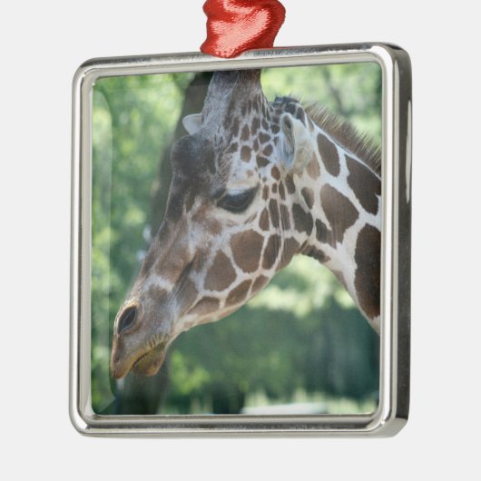 Giraffe Ornament (Links)