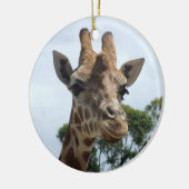 Giraffe Ornament (Links)