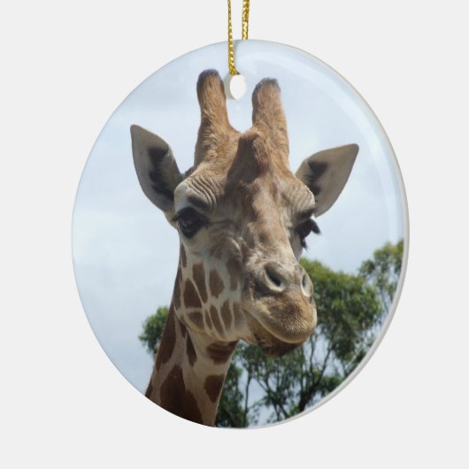 Giraffe Ornament (Links)