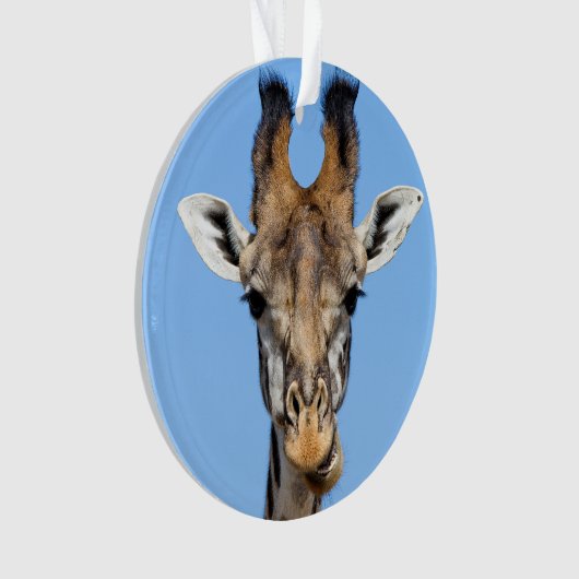 Giraffe Ornament (voorkant)