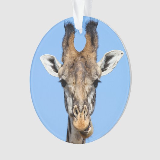 Giraffe Ornament (voorkant)