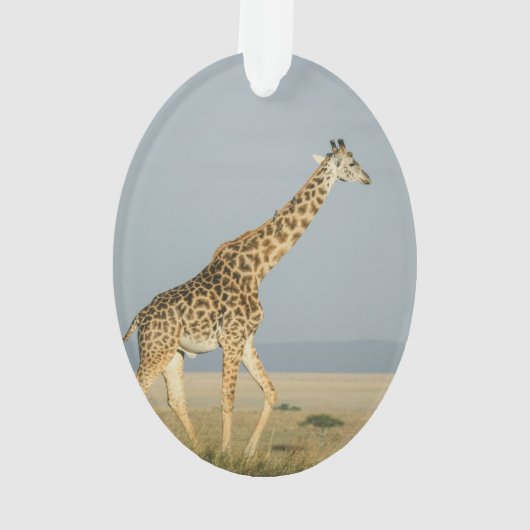 Giraffe Ornament (achterkant)