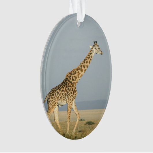 Giraffe Ornament (voorkant)