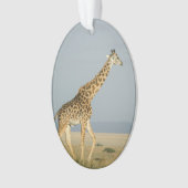 Giraffe Ornament (voorkant)