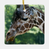 Giraffe Ornament (Voorkant)