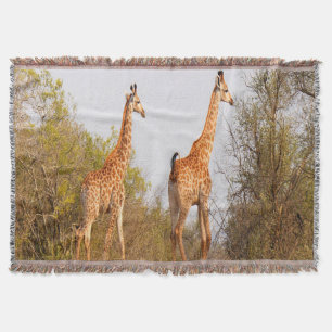 Giraffe Pair Deken