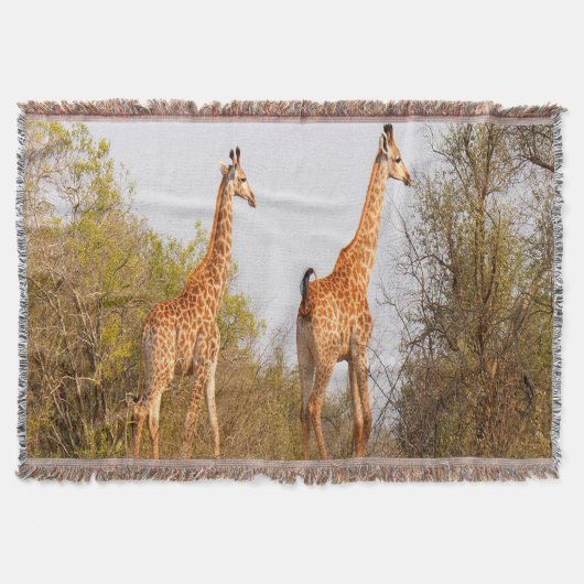 Giraffe Pair Deken (Voorkant)