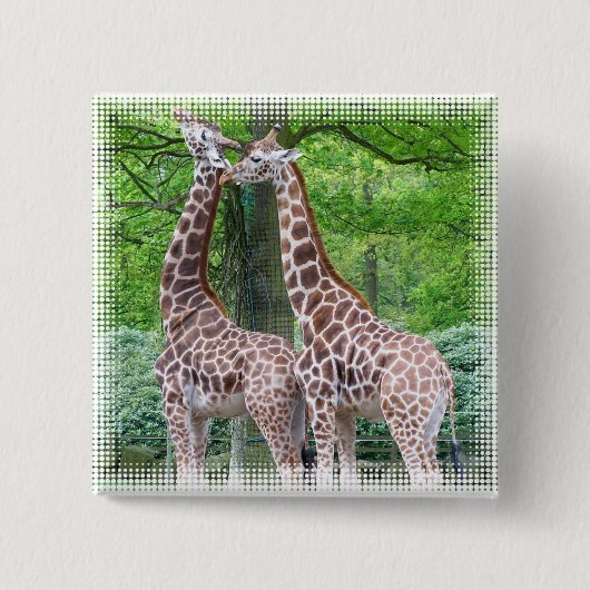 Giraffe Pair Square Pin Vierkante Button 5,1 Cm (Voorkant)