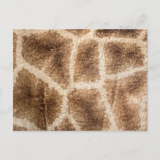 Giraffe patroon briefkaart (Voorkant)