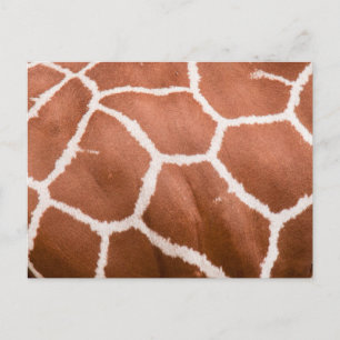 Giraffe patroon briefkaart