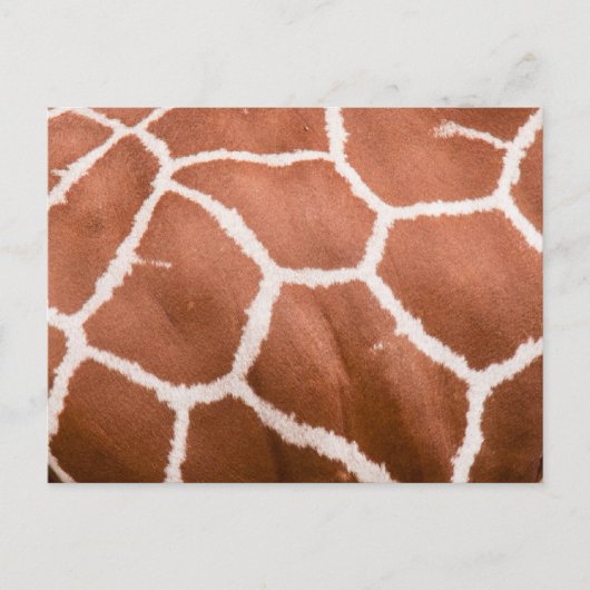 Giraffe patroon briefkaart (Voorkant)