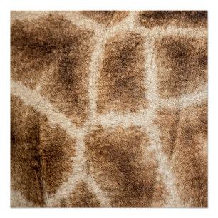 Giraffe patroon poster