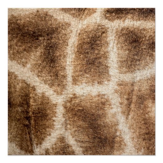 Giraffe patroon poster (Voorkant)
