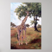 Giraffe Permanent Poster (Voorkant)