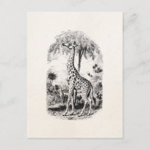 Giraffe - Persoonlijke illustratie van dieren Briefkaart